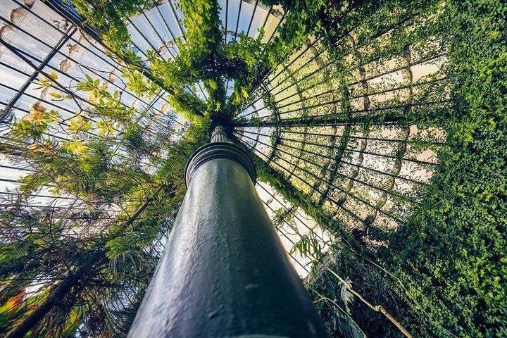 Madrid : Billets Skip The Line pour le Real Jardin Botanico