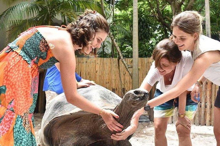 ジャングルアイランド動物との遭遇チケット（一般入場付き）