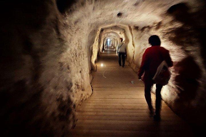 マラガ発カミニート・デル・レイ：送迎付きガイドツアー