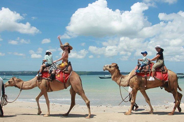 Bali Near Airport Camel Ride Experience