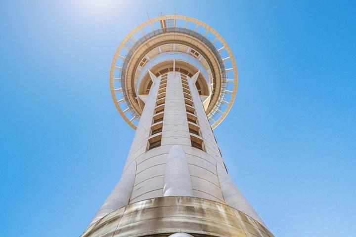 プライベートツアー-オークランドへのイントロ-土地の敷設
