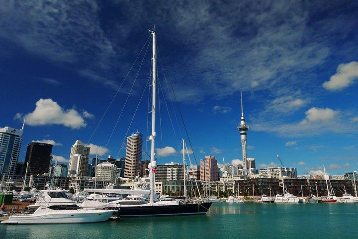 Private Tour - An intro to Auckland - The lay of the land