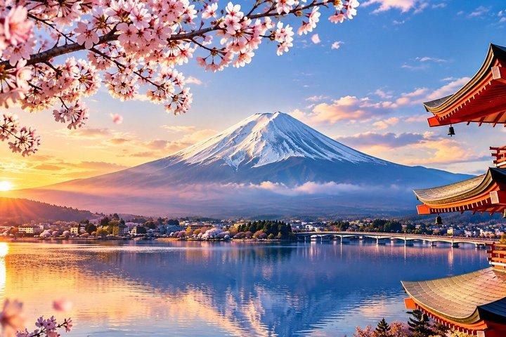 From Tokyo/Yokohama Mount Fuji & Ice Cave Day Tour