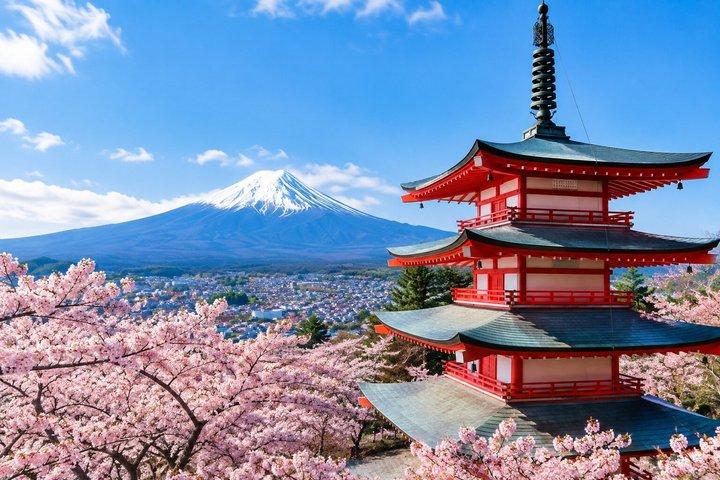 東京/横浜から富士山&アイスケイブ日帰りツアー
