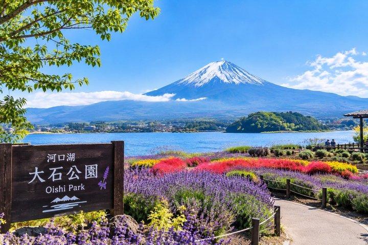 東京/横浜から富士山&アイスケイブ日帰りツアー