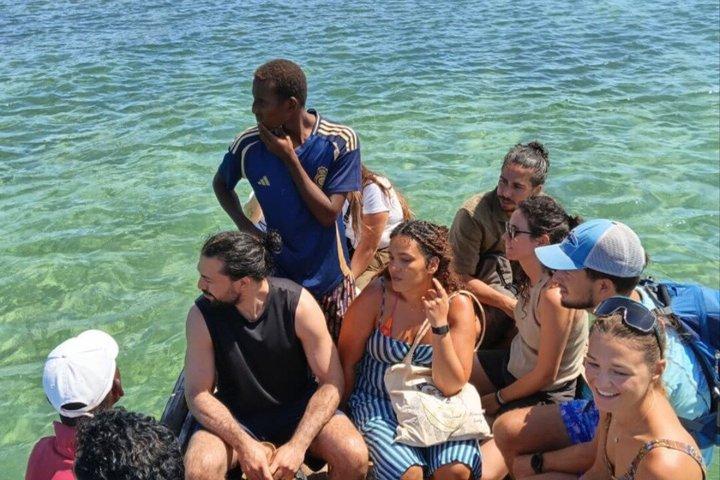 Wasini Dolphin et plongée en apnée