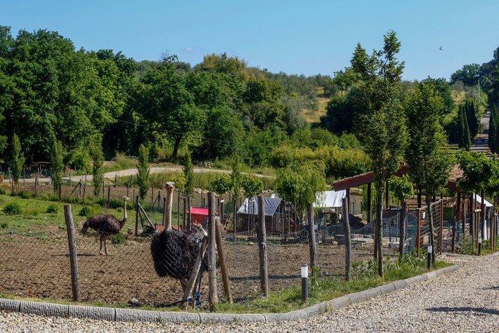 カート田園地帯ツアー ワインと農場での食事付き