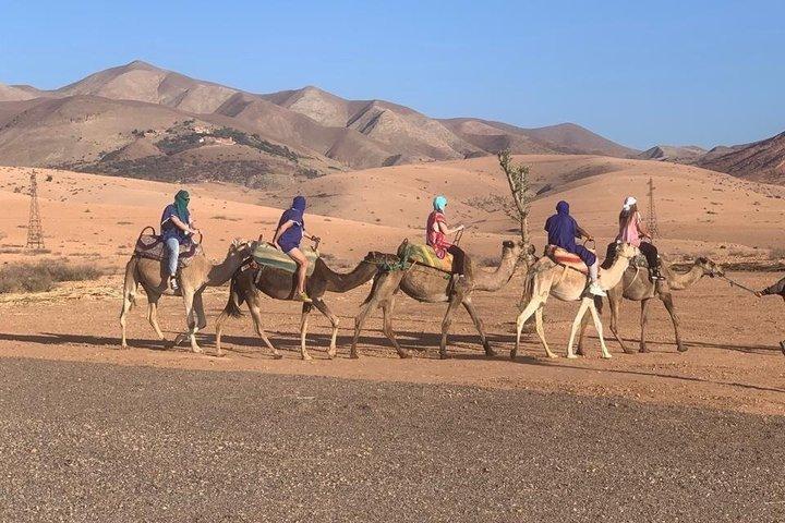 アガファイ砂漠でのクアッドバイクとラクダ乗り、ディナーショー付き