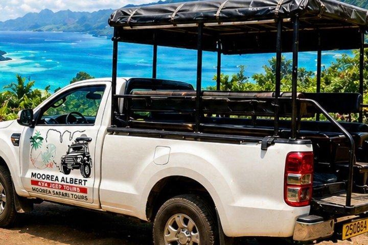 ALBERT TOURS: Excursion 4x4 safari with private SWING view point