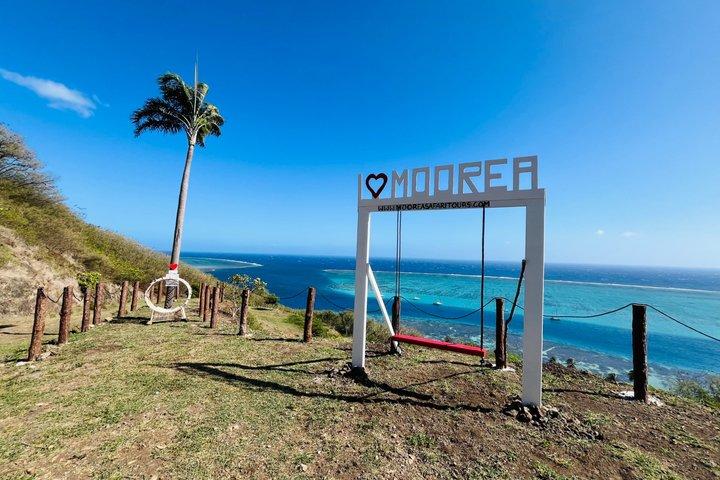 ALBERT TOURS: Excursion 4x4 safari with private SWING view point