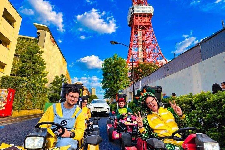 Guided Tokyo Go Kart Tour Rainbow Bridge to Tokyo Tower