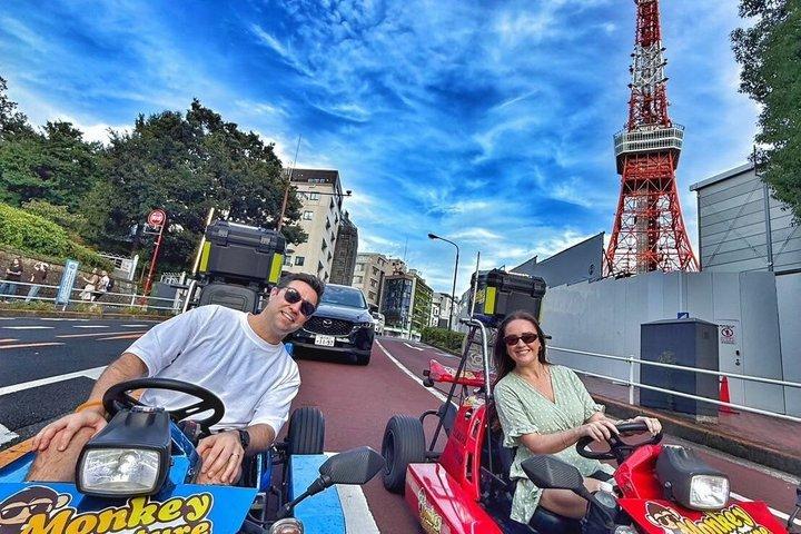 東京ゴーカートツアーレインボーブリッジから東京タワーまでガイド付き