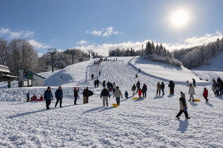 東京から湯沢スキーリゾートへのプライベート送迎（ホテル送迎付き）