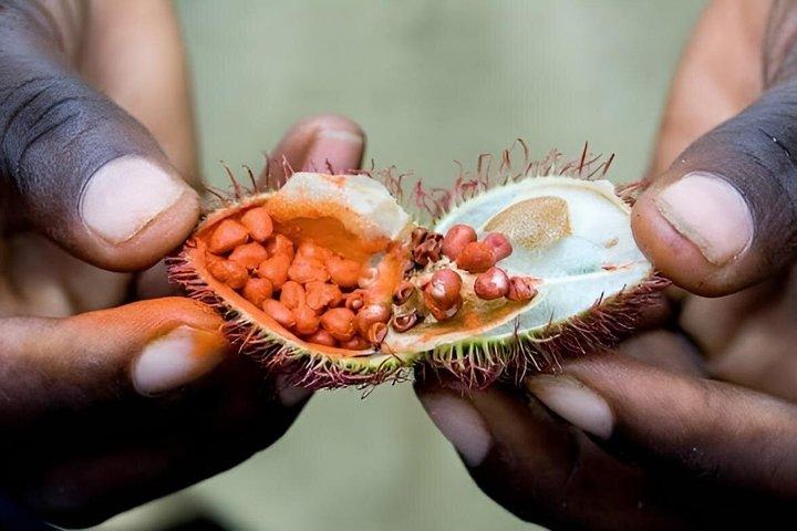 Zanzibar Private Spice Farm Tour With Optional Lunch