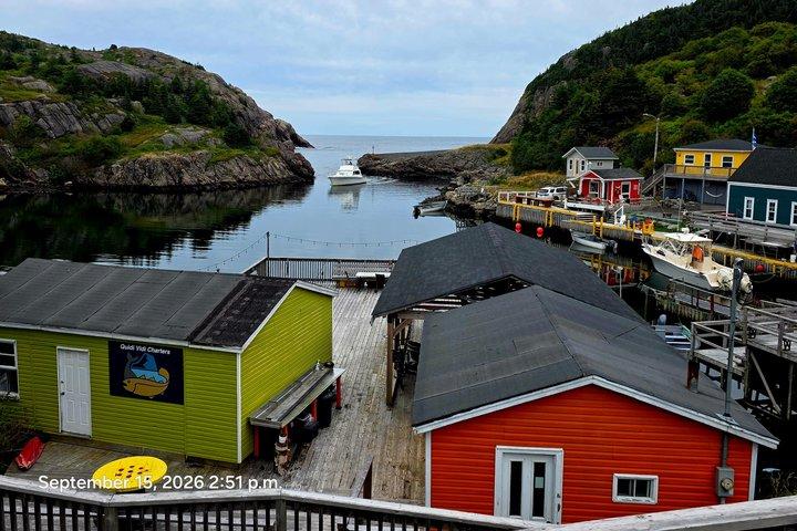 Tour privé en SUV de la ville de St. John et du littoral ~ 6 heures