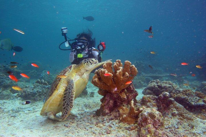 Phuket : Scuba Diving & Snorkel Express Day Tour