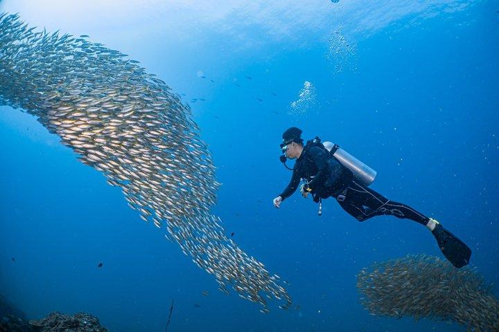 Phuket : Scuba Diving & Snorkel Express Day Tour