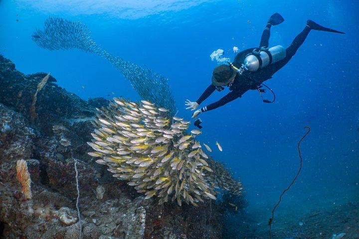 Phuket : Scuba Diving & Snorkel Express Day Tour