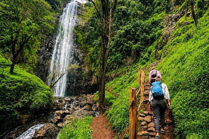 De Arusha a las Cataratas de Materuni y Experiencia de Cultura del Café
