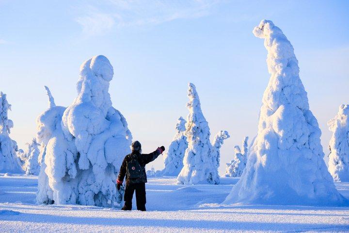 リイシトゥントゥリの魔法の凍った森 写真撮影&バーベキュー