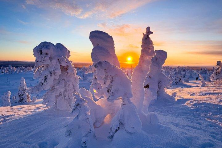 リイシトゥントゥリの魔法の凍った森 写真撮影&バーベキュー