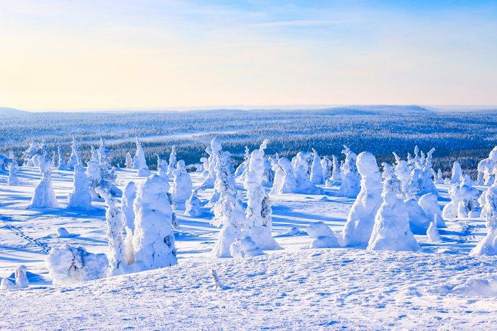 リイシトゥントゥリの魔法の凍った森 写真撮影&バーベキュー