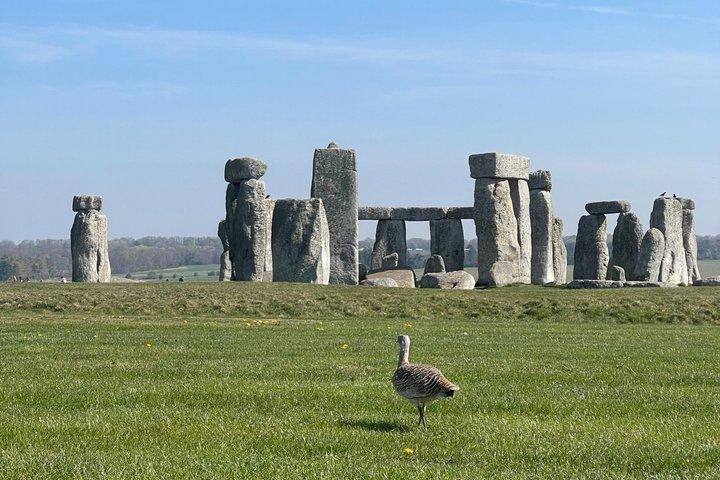 Bath och Stonehenge från London - Privat lyxdagstur