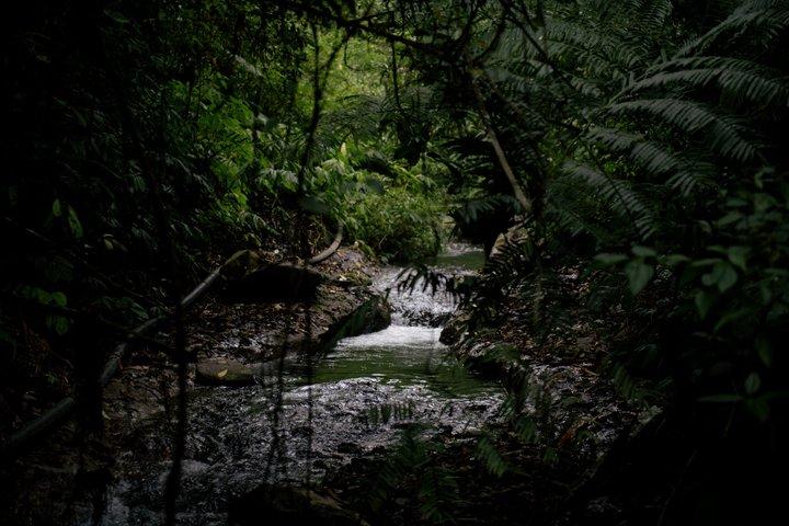 ムンドクの隠された5つの滝：秘密の北バリ自然アドベンチャー