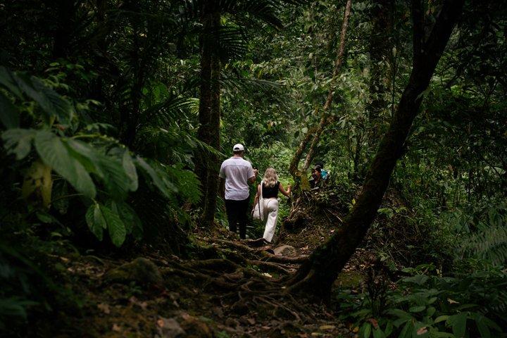 ムンドクの隠された5つの滝：秘密の北バリ自然アドベンチャー