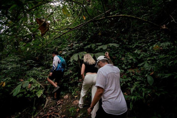 ムンドクの隠された5つの滝：秘密の北バリ自然アドベンチャー