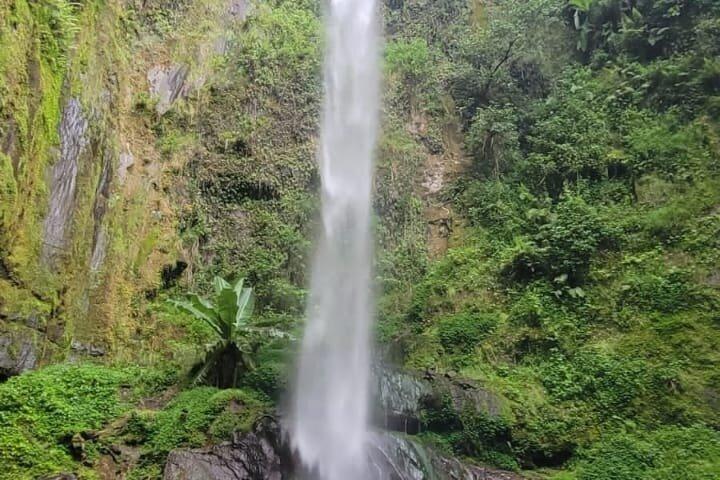 Experiencia de senderismo en la cascada Napuru en Arusha