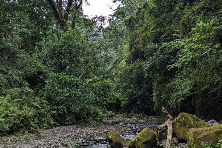 Napuru Waterfall Hiking Experience in Arusha