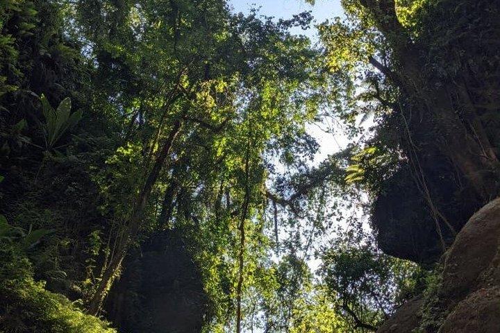 Napuru Waterfall Hiking Experience in Arusha