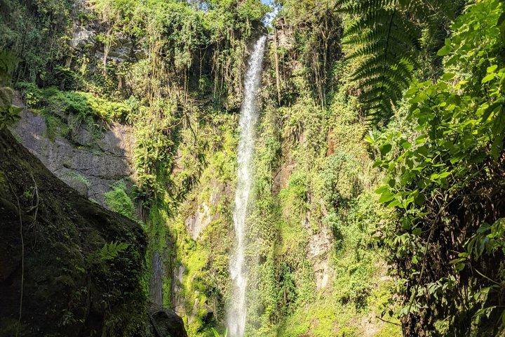 Napuru Waterfall Hiking Experience in Arusha
