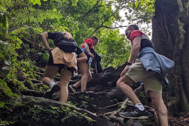 Napuru Waterfall Hiking Experience in Arusha