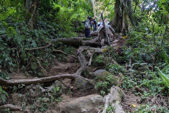 Napuru Waterfall Hiking Experience in Arusha