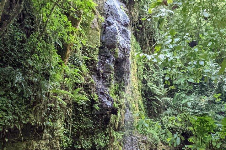 Napuru Waterfall Hiking Experience in Arusha