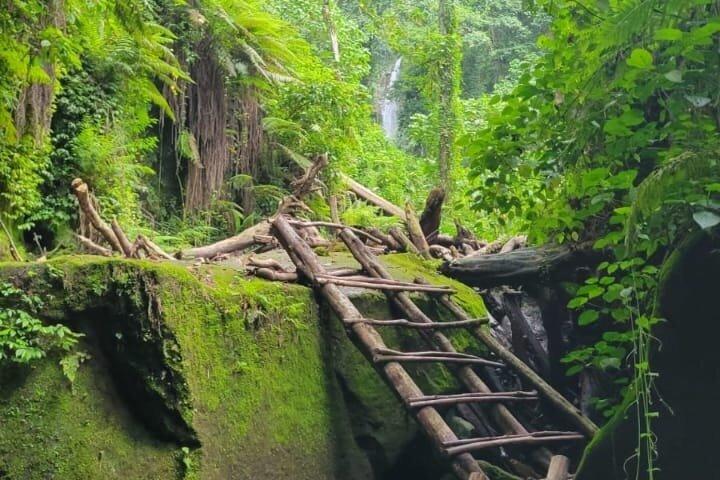 Napuru Waterfall Hiking Experience in Arusha