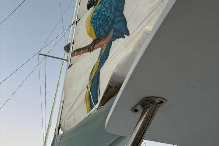 Champagne Sunset Sail from Margaritaville