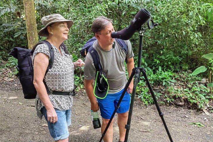 マヌエル・アントニオ国立公園：入場料込みのガイド付きツアー