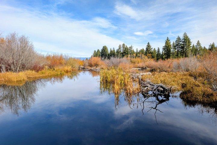 Tahoe Autumn Escape: Emerald Bay to Tahoe City Fall Colors Tour