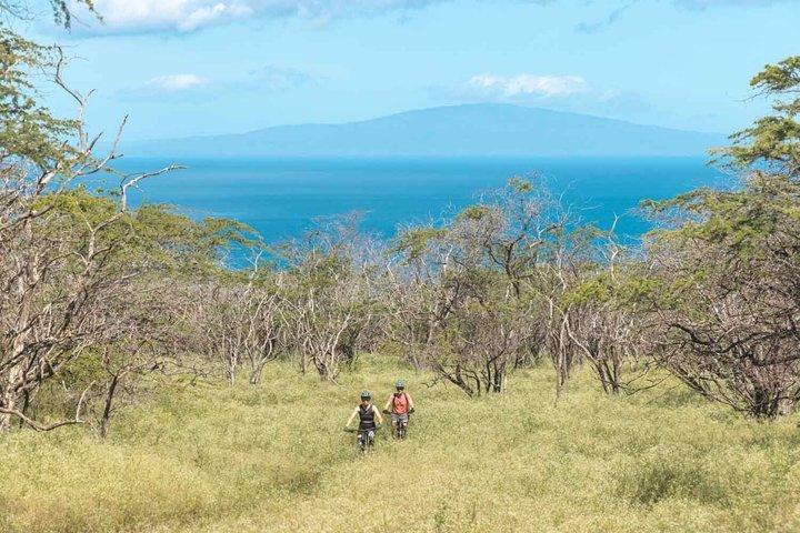 Aventura de E-Mountain Bike em Maui – Rancho Privado