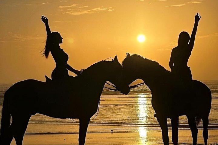 Taghazout Beach Horseback Riding