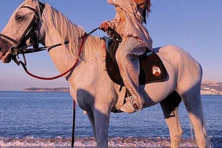 Taghazout Beach Horseback Riding