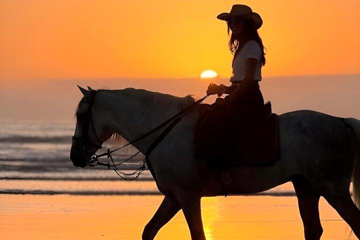 Taghazout Beach Horseback Riding