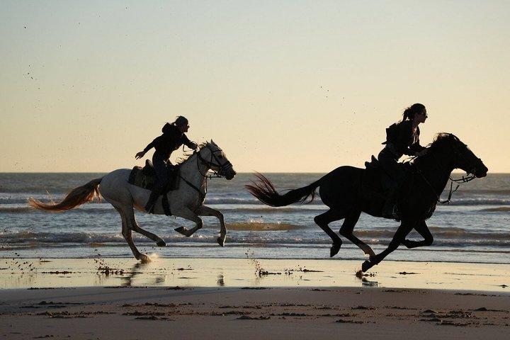 Taghazout Beach Horseback Riding