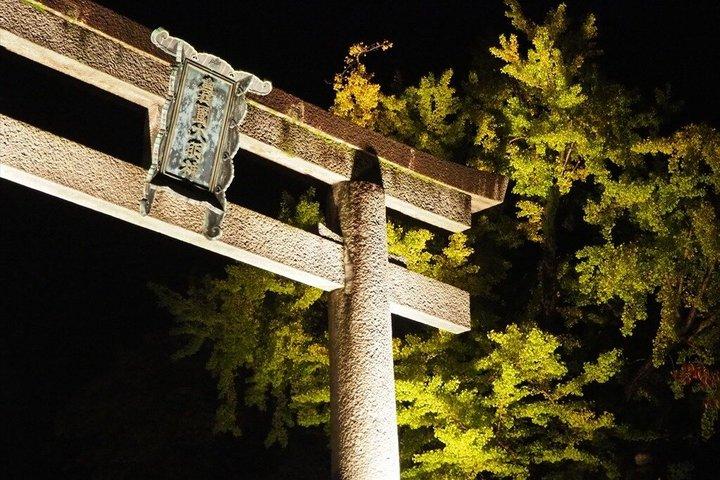 Private Osaka Castle Night Walk and Guided Tour