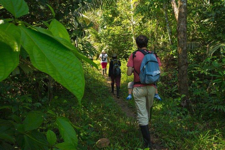 Irapay Amazon Lodge 4 Days and 3 Nights