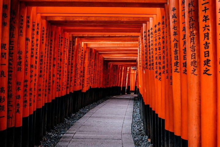 大阪または神戸クルーズ港からの京都プライベート岸辺ツアー