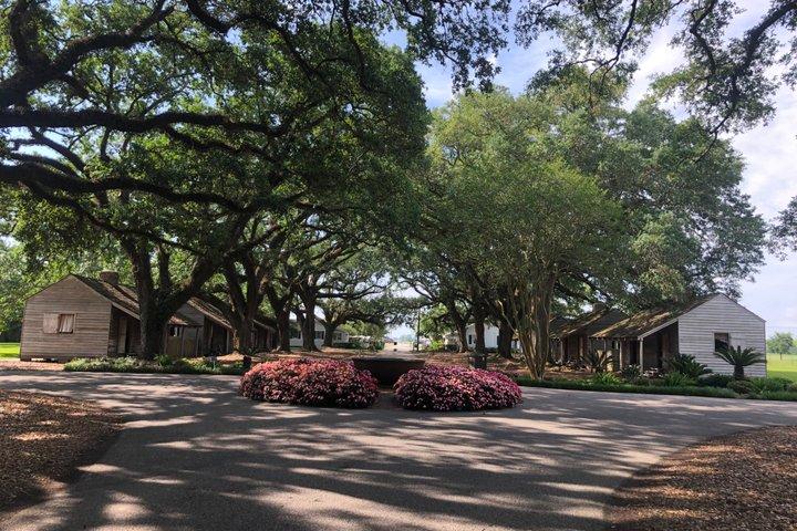 オーク・エイリー・プランテーションのギリシャ復興様式の邸宅と螺旋状のオークの木々